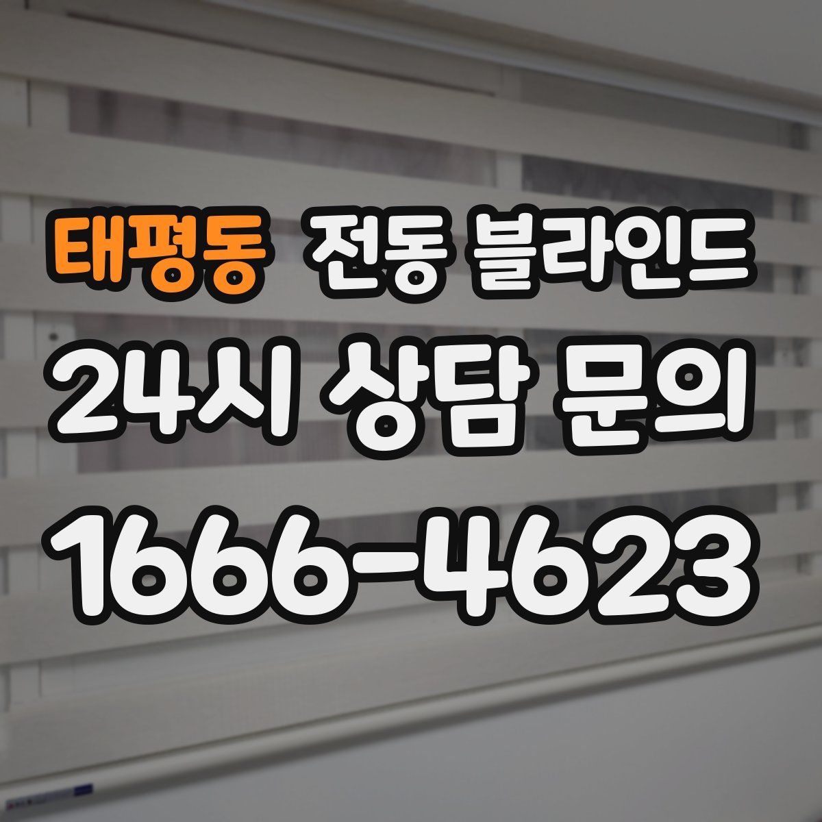 태평동 전동 블라인드