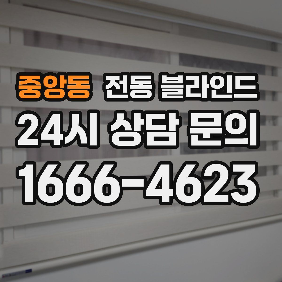 중앙동 전동 블라인드