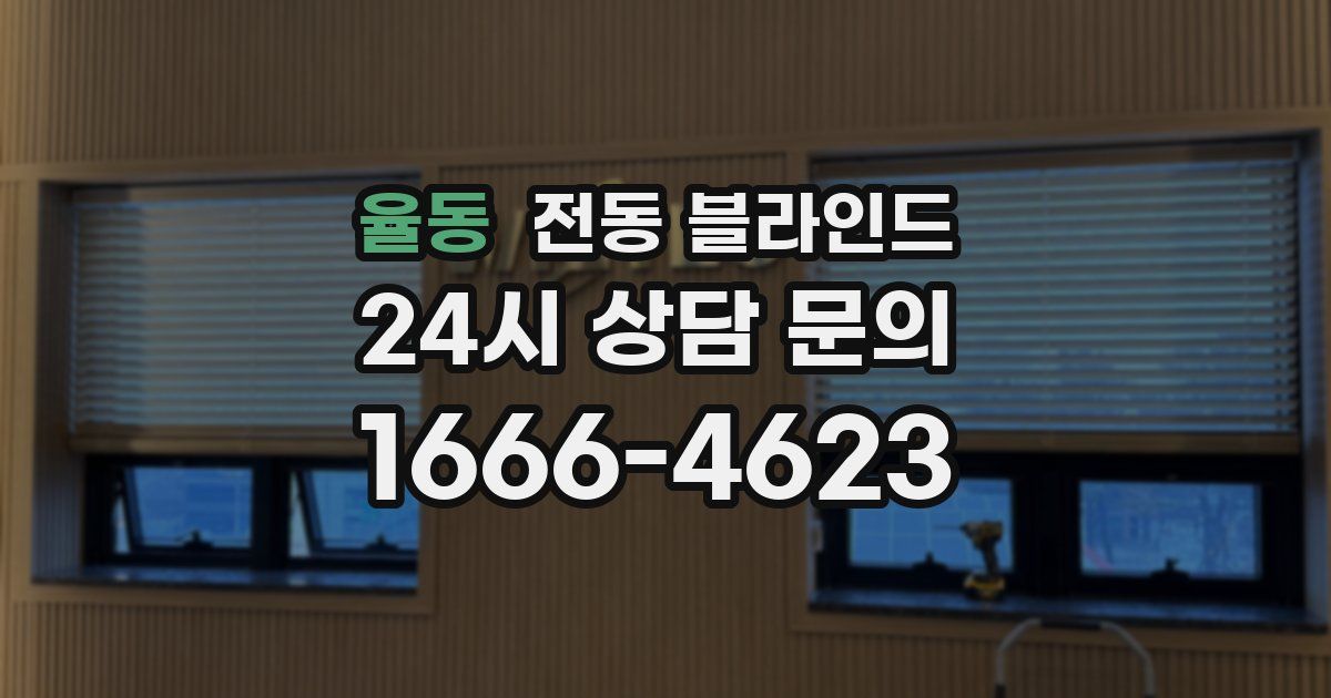 율동 전동 블라인드