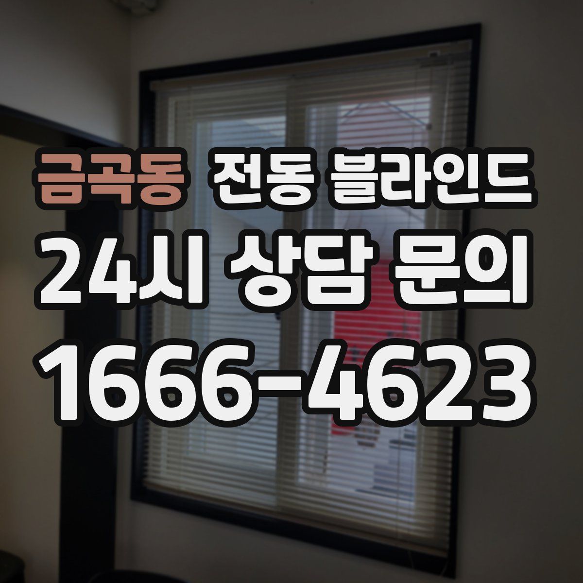 금곡동 전동 블라인드
