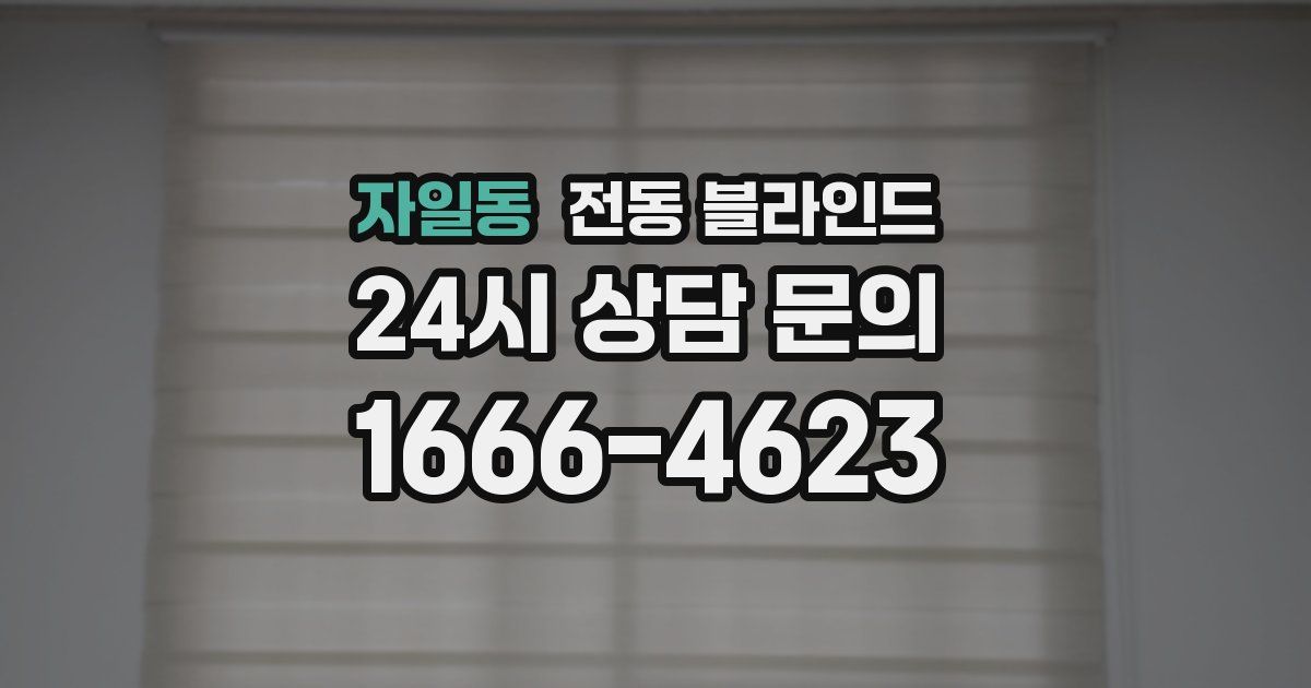 자일동 전동 블라인드