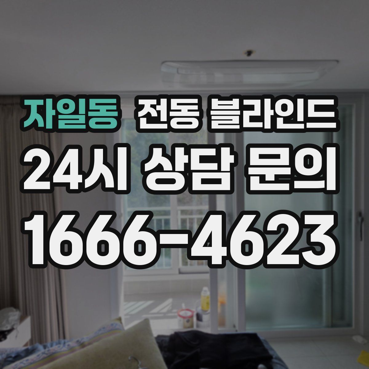 자일동 전동 블라인드
