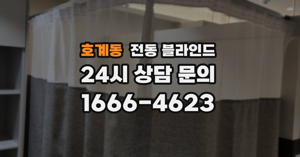 호계동 전동 블라인드