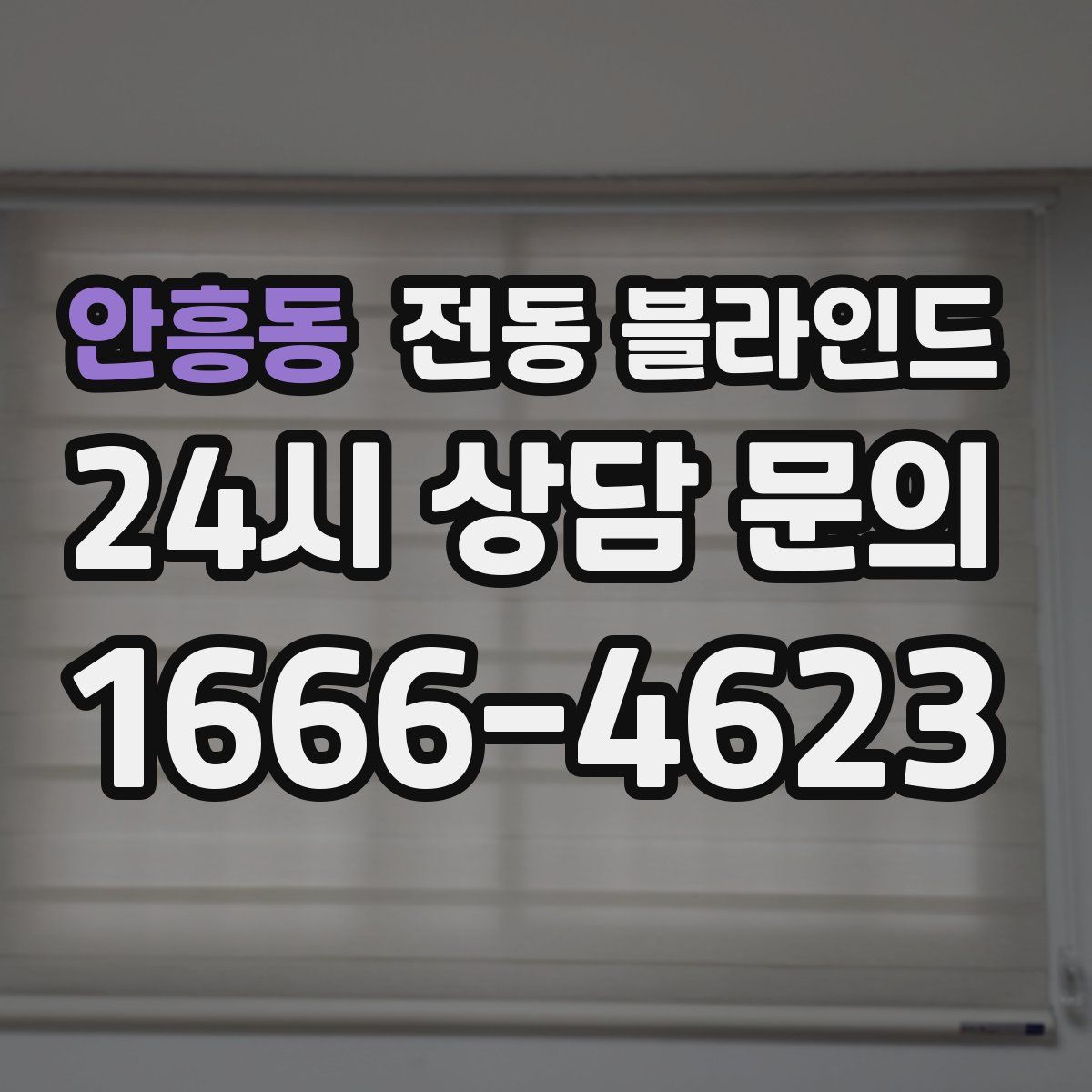 안흥동 전동 블라인드