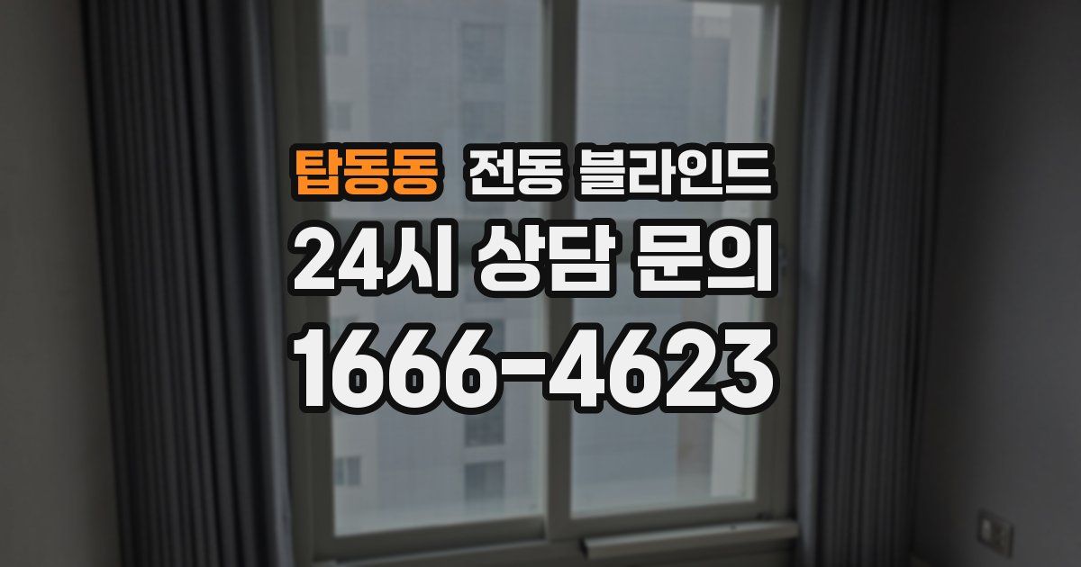 탑동동 전동 블라인드