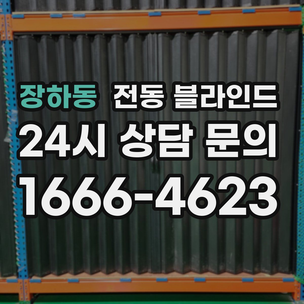 장하동 전동 블라인드