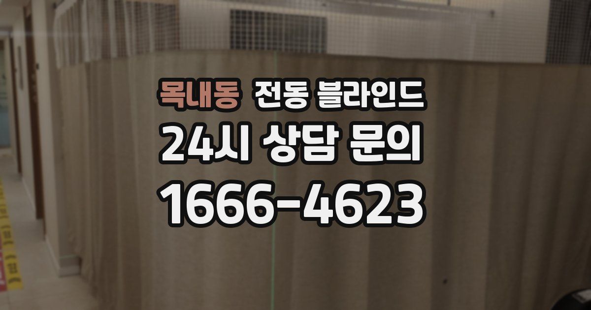 목내동 전동 블라인드