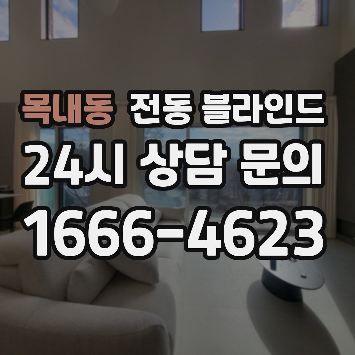 목내동 전동 블라인드
