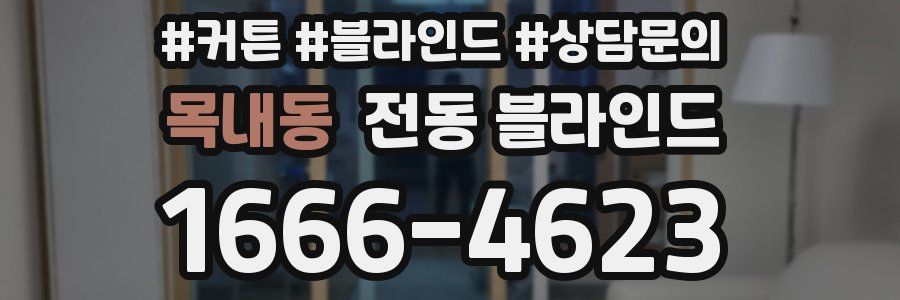 목내동 전동 블라인드