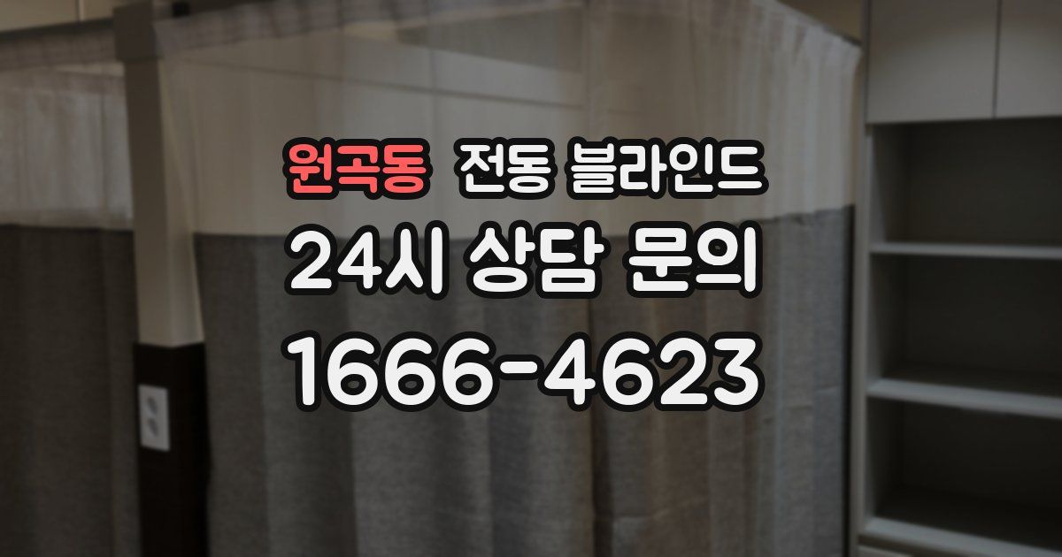 원곡동 전동 블라인드