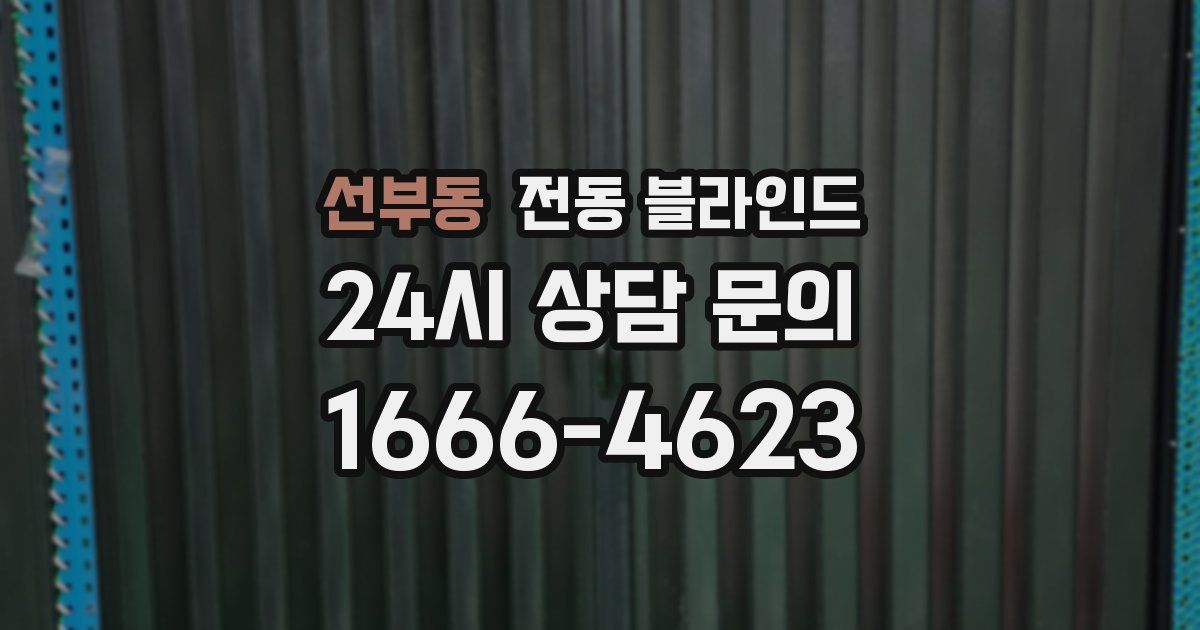 선부동 전동 블라인드