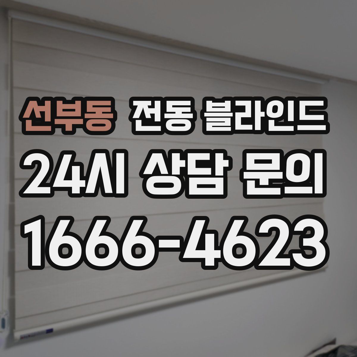 선부동 전동 블라인드