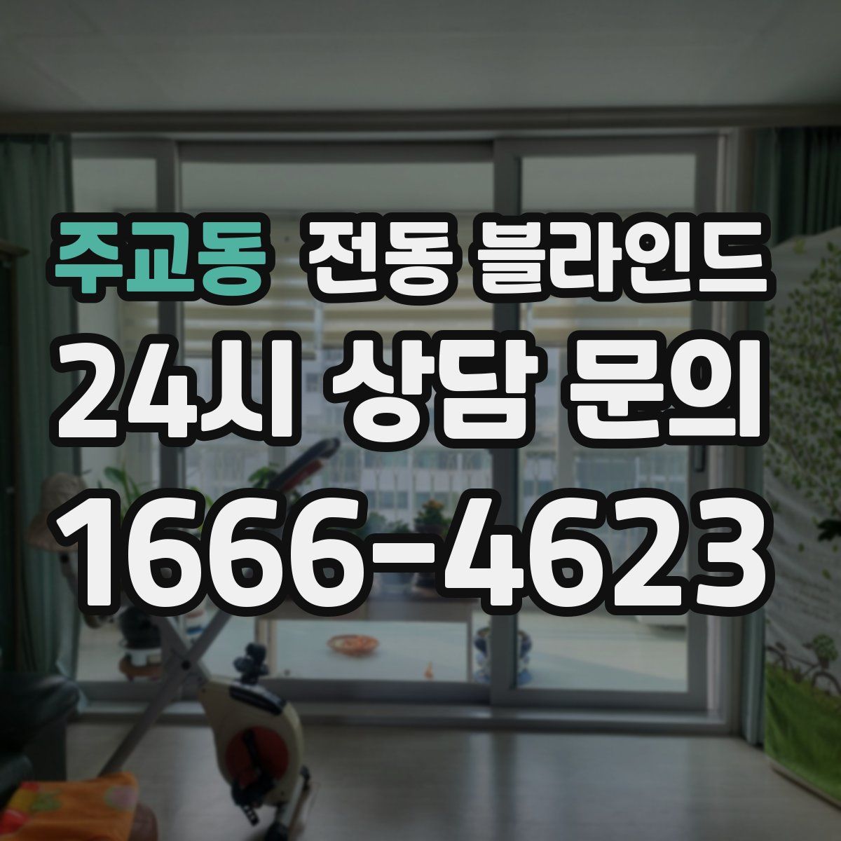 주교동 전동 블라인드