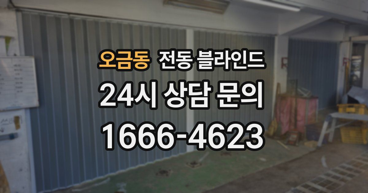 오금동 전동 블라인드