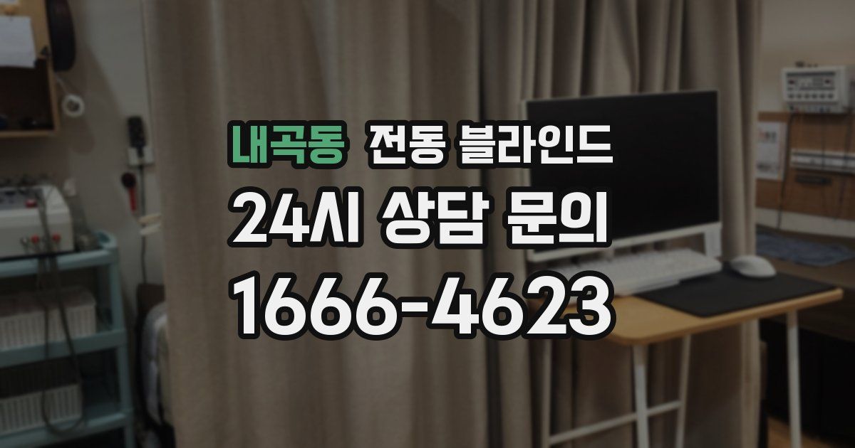 내곡동 전동 블라인드