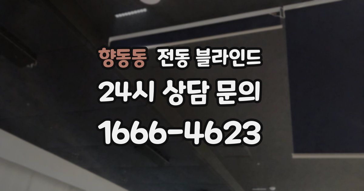 향동동 전동 블라인드
