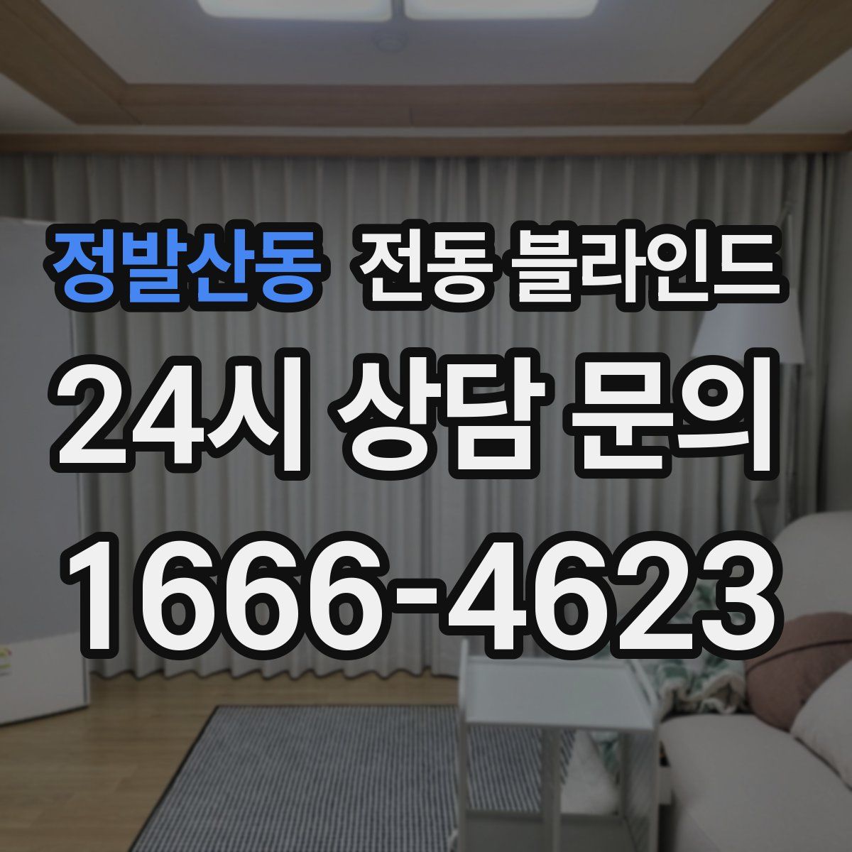 정발산동 전동 블라인드