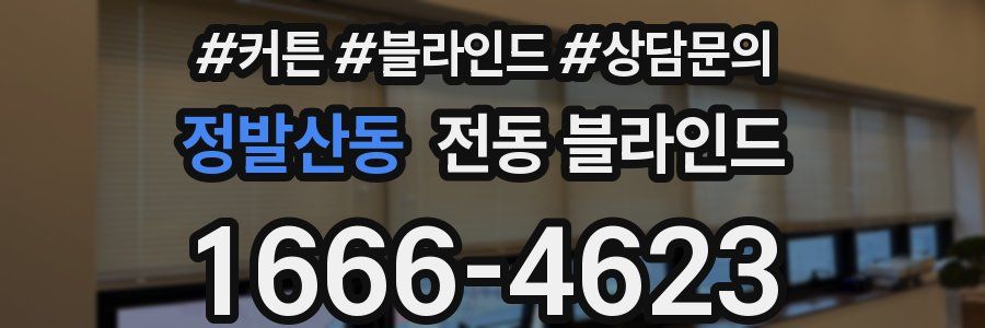 정발산동 전동 블라인드