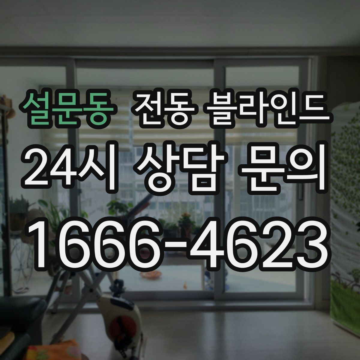 설문동 전동 블라인드