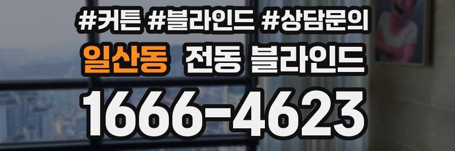 일산동 전동 블라인드