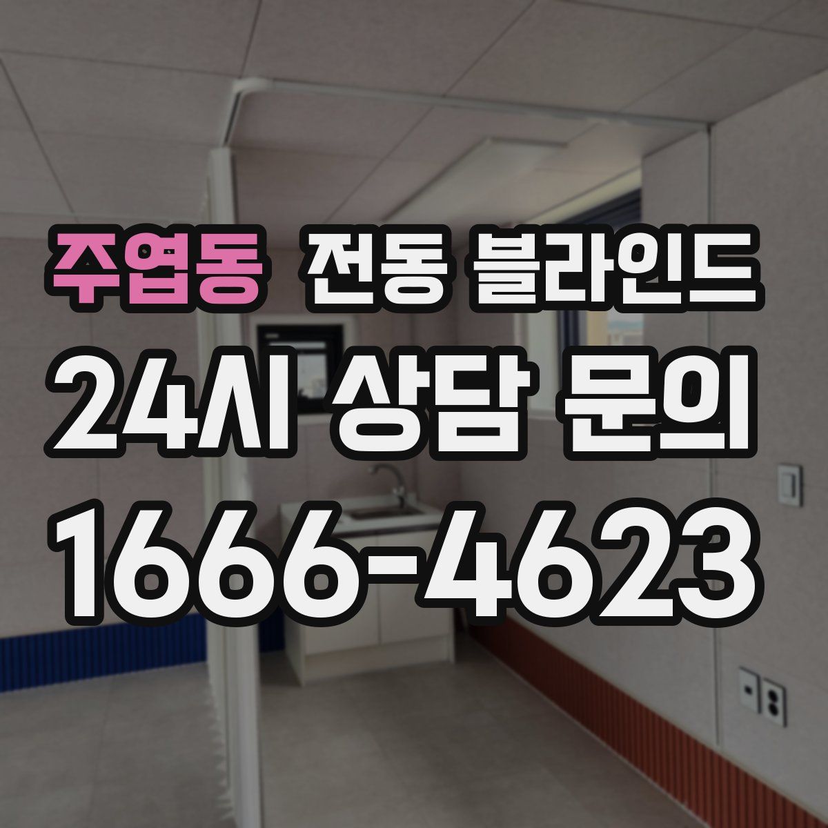 주엽동 전동 블라인드