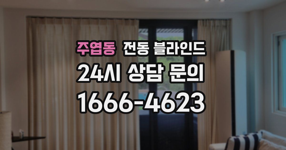 주엽동 전동 블라인드