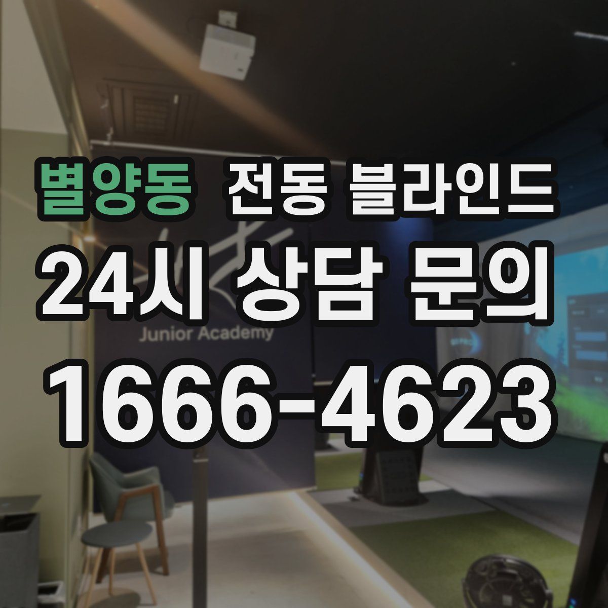 별양동 전동 블라인드