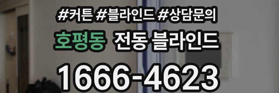 호평동 전동 블라인드