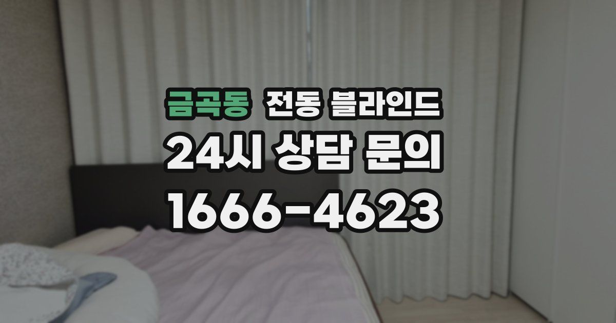 금곡동 전동 블라인드