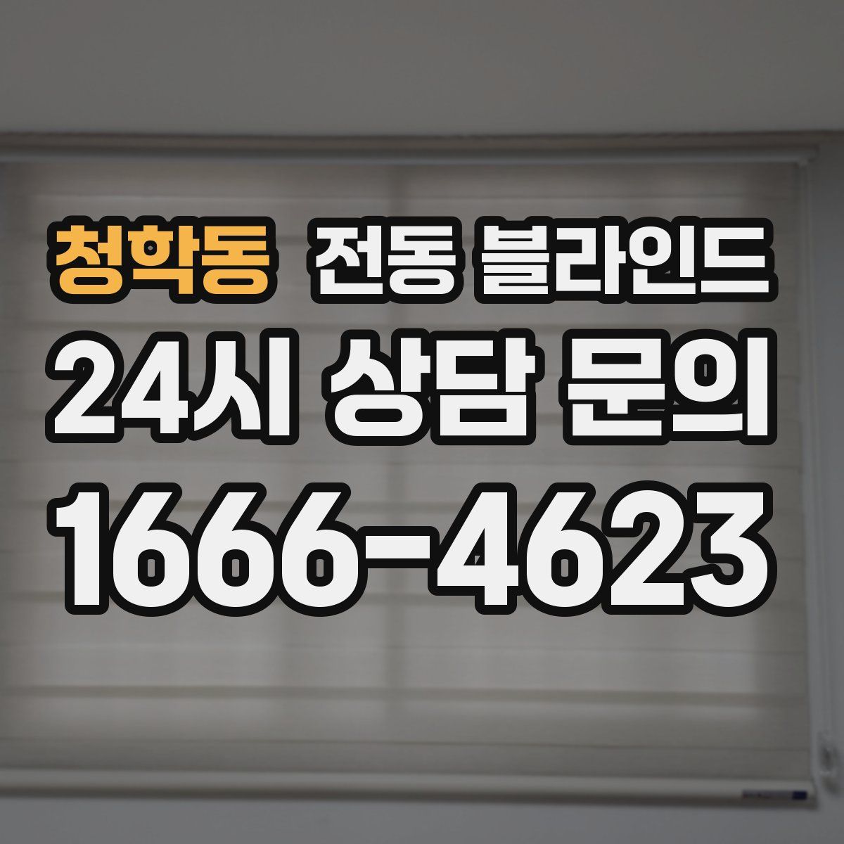 청학동 전동 블라인드