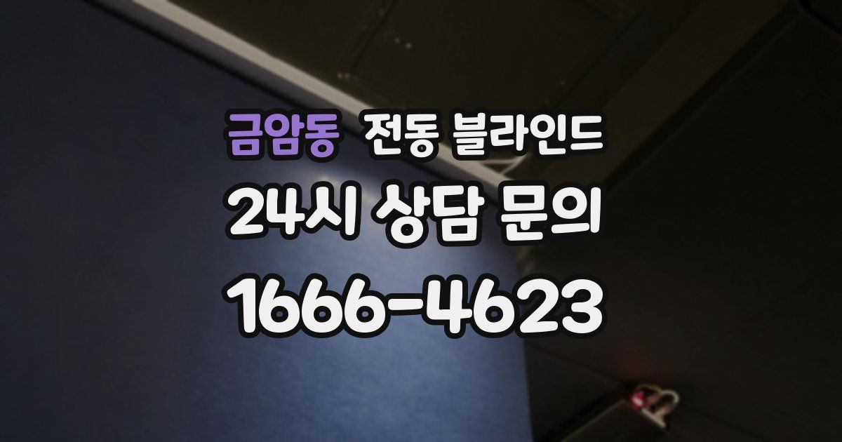 금암동 전동 블라인드