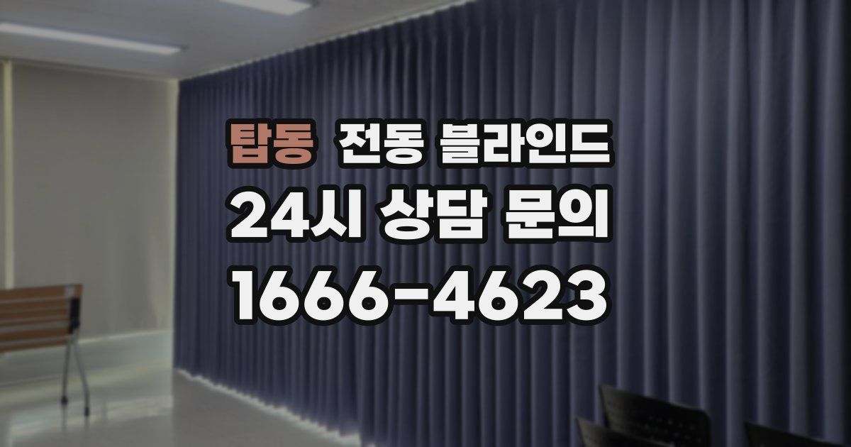 탑동 전동 블라인드