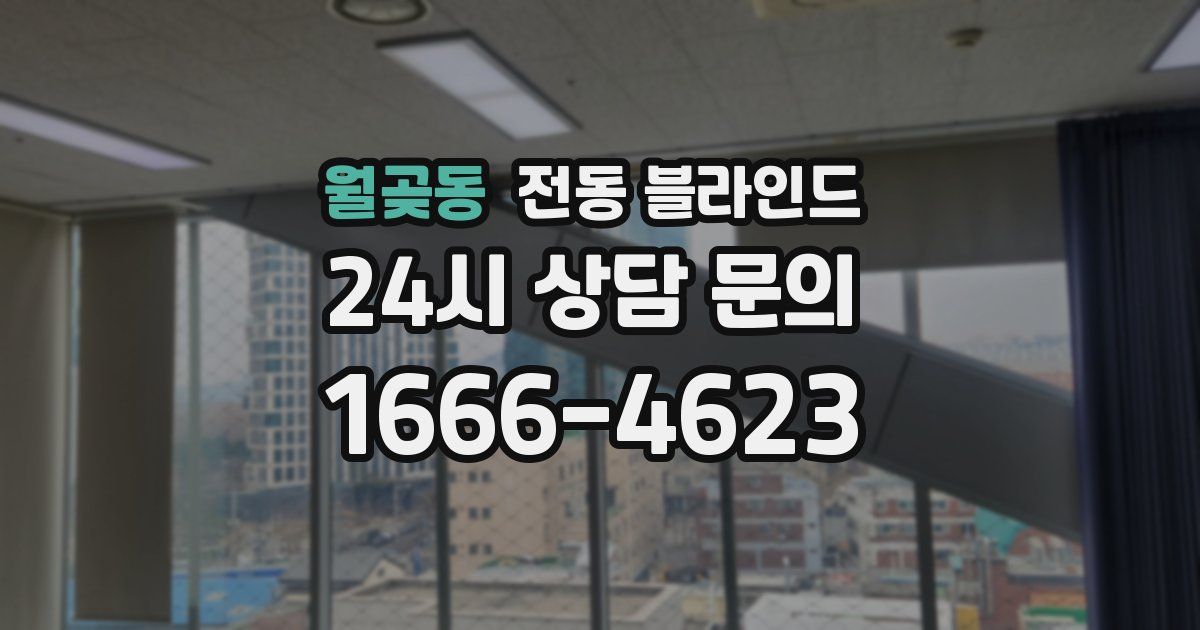 월곶동 전동 블라인드