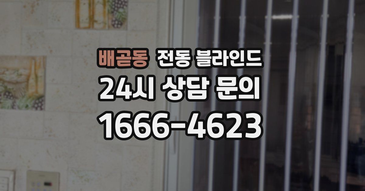 배곧동 전동 블라인드