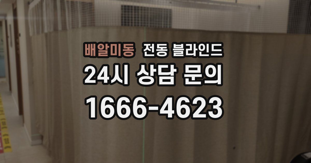 배알미동 전동 블라인드