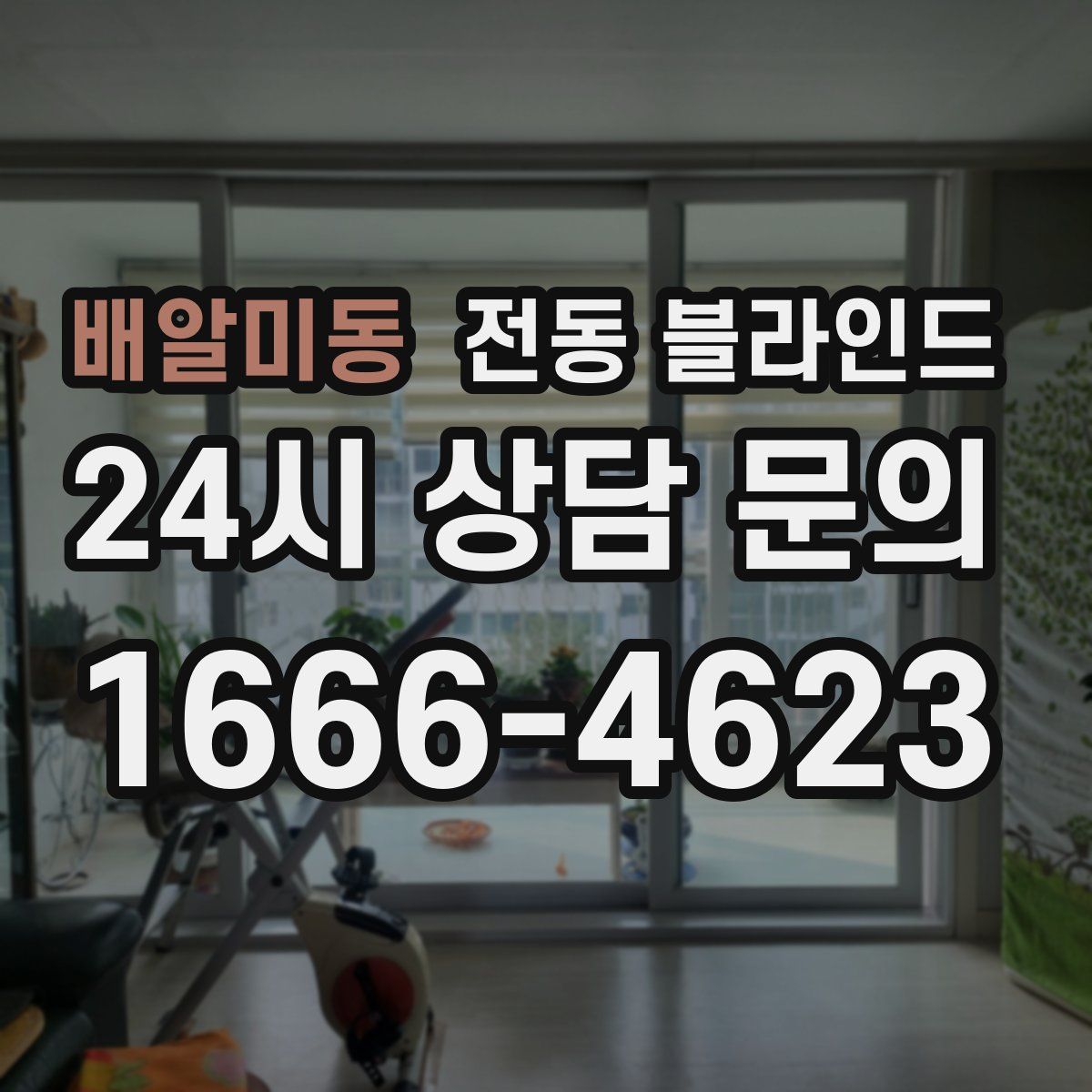 배알미동 전동 블라인드