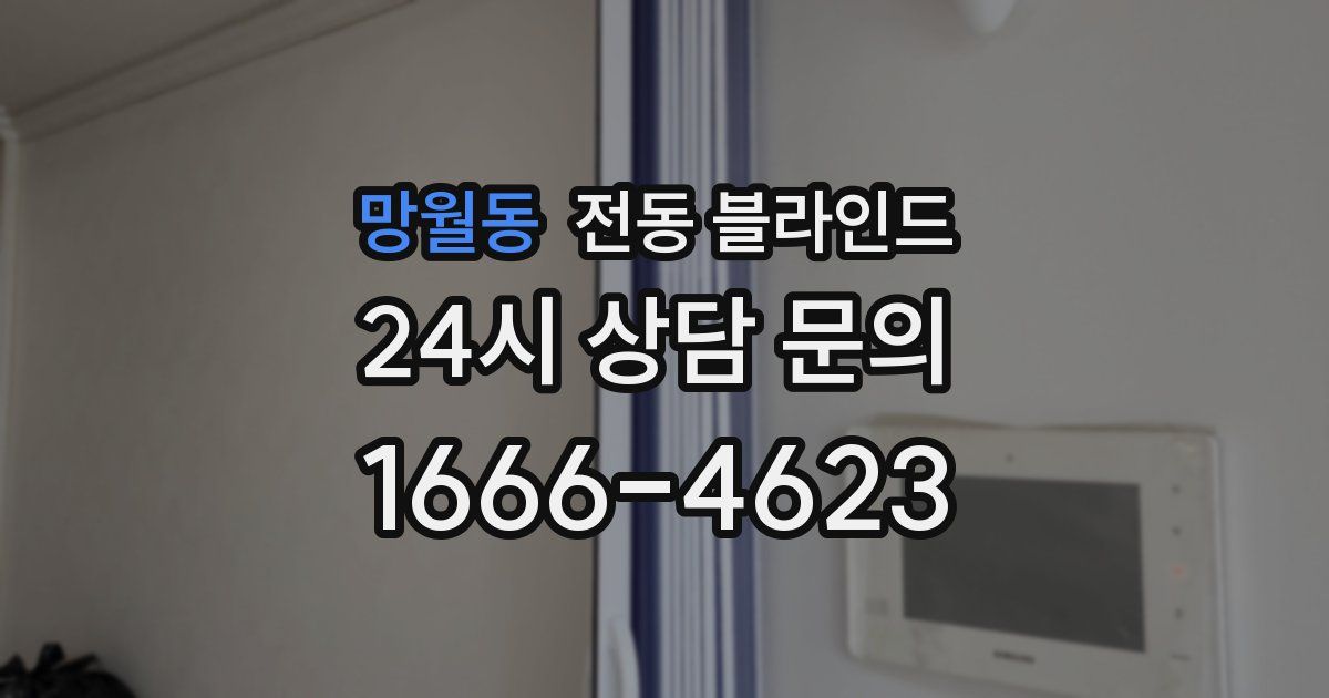 망월동 전동 블라인드