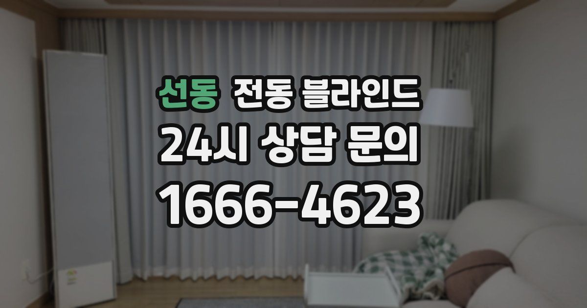 선동 전동 블라인드