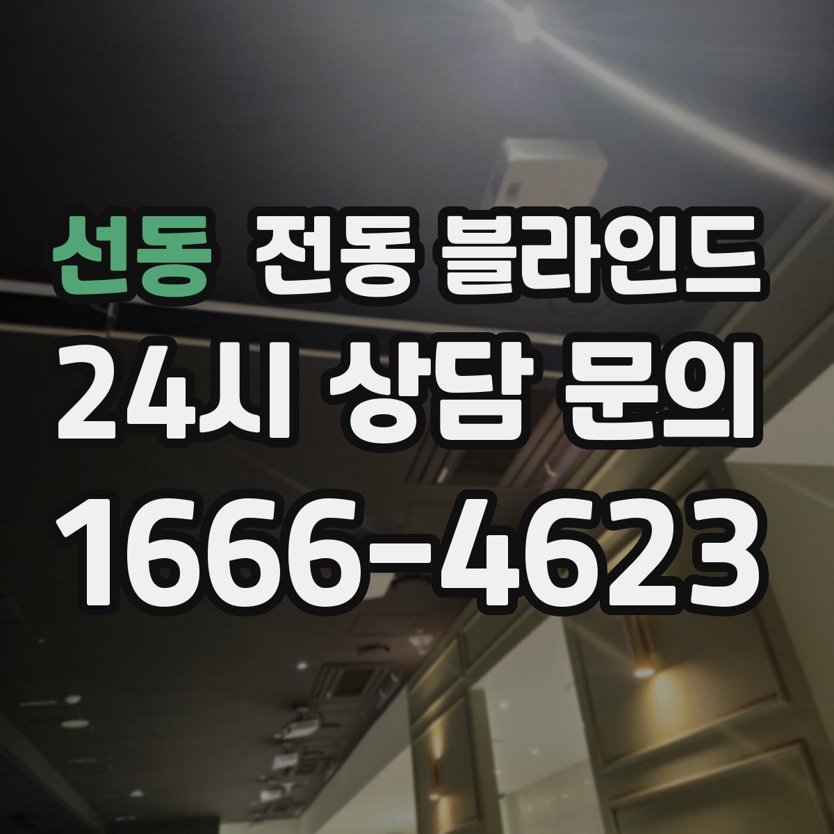 선동 전동 블라인드
