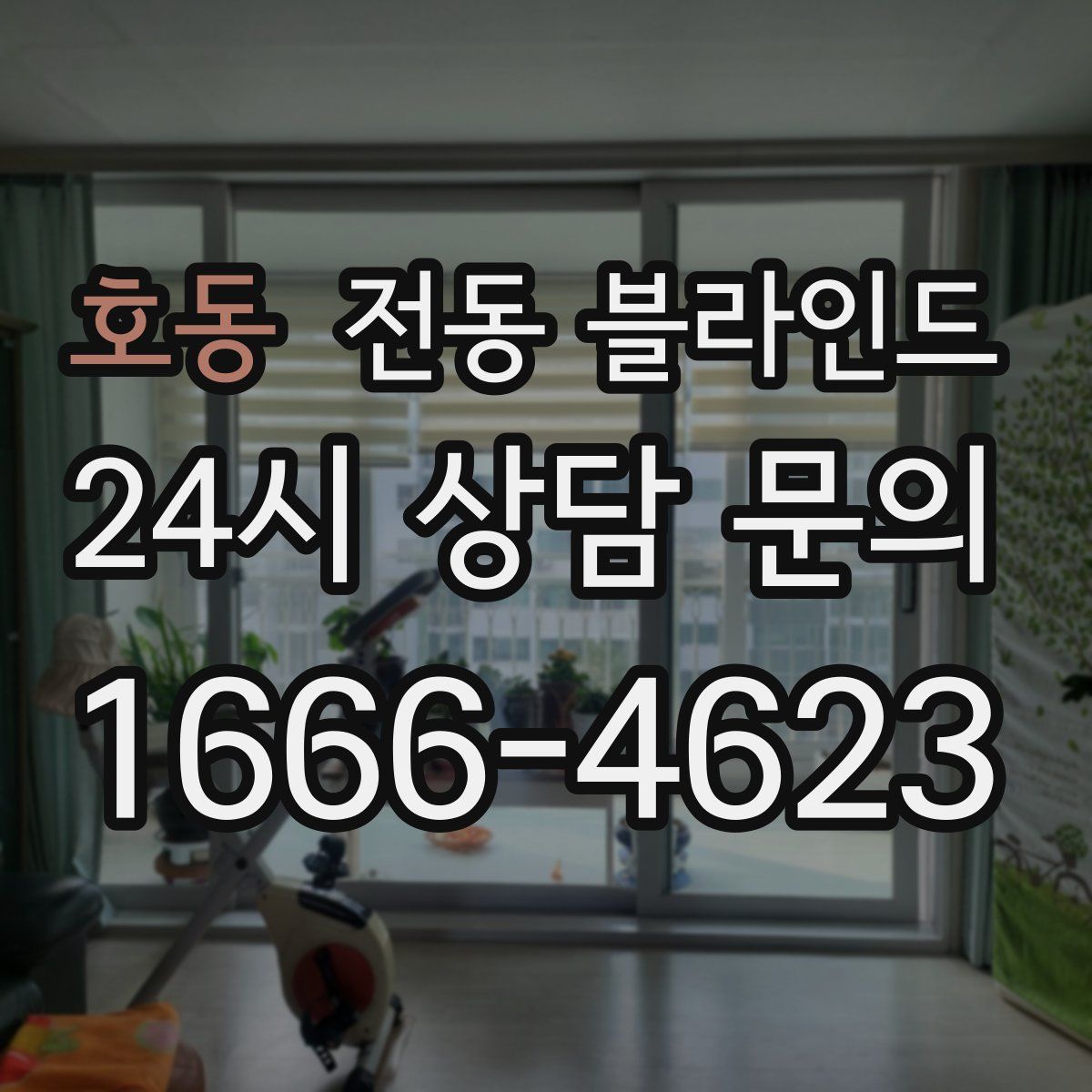호동 전동 블라인드