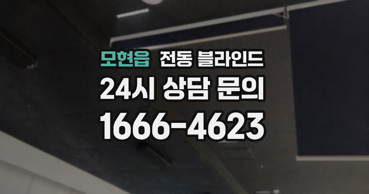 모현읍 전동 블라인드