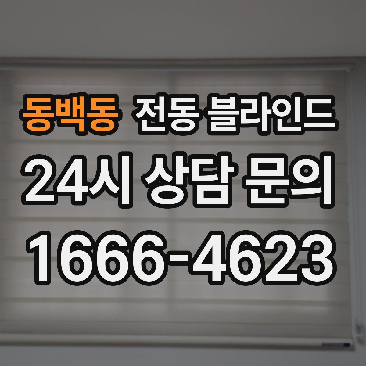 동백동 전동 블라인드