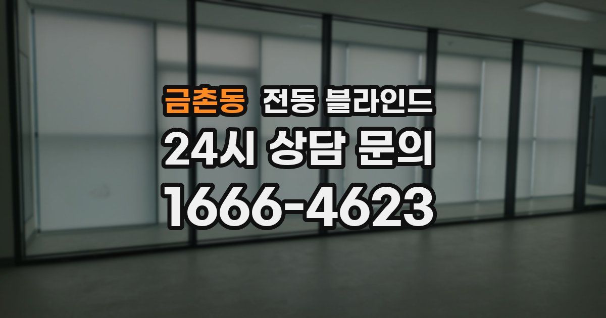 금촌동 전동 블라인드