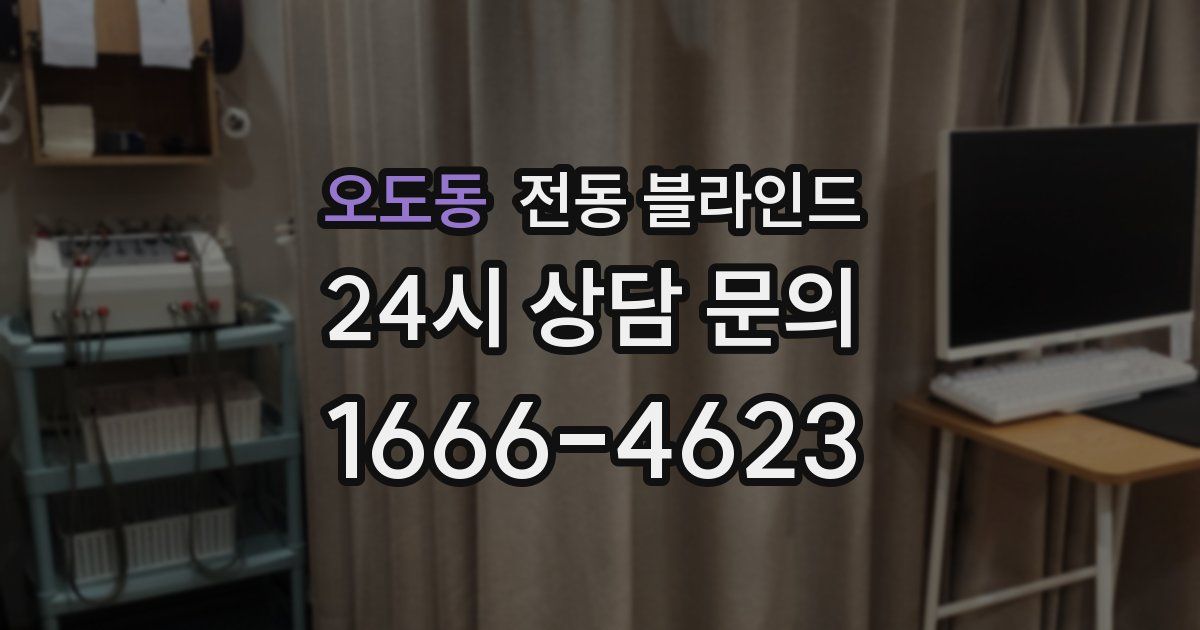 오도동 전동 블라인드