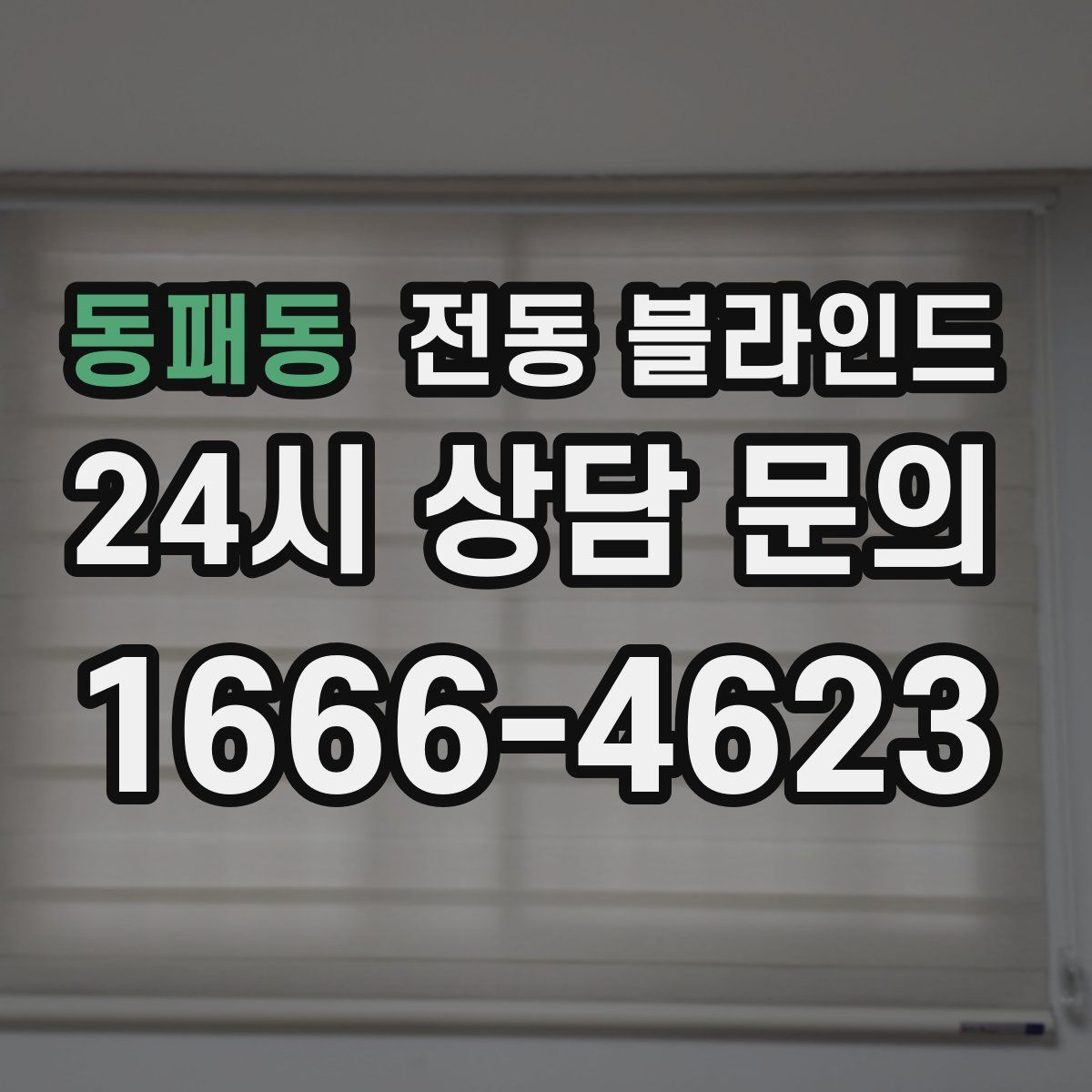 동패동 전동 블라인드
