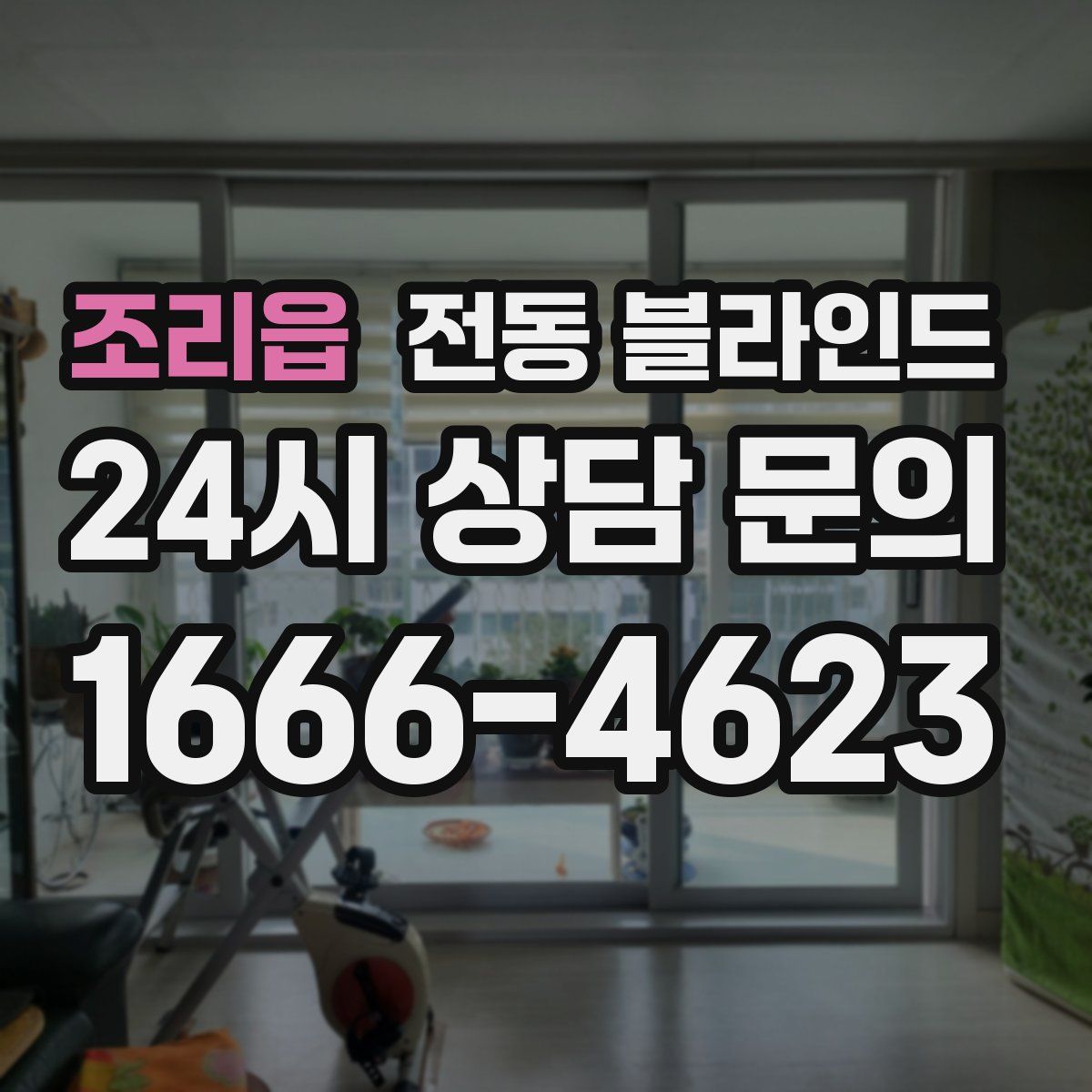 조리읍 전동 블라인드