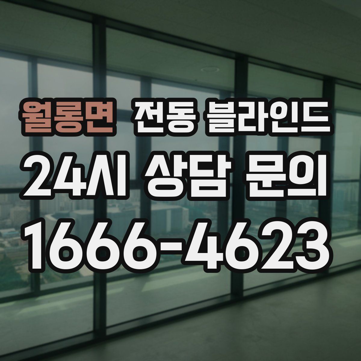 월롱면 전동 블라인드