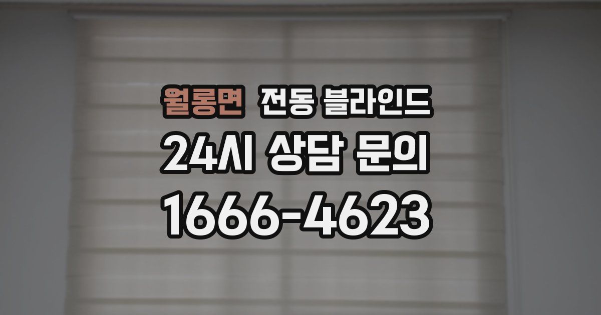 월롱면 전동 블라인드