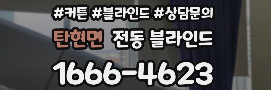 탄현면 전동 블라인드
