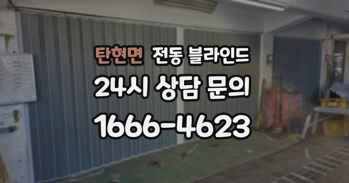 탄현면 전동 블라인드